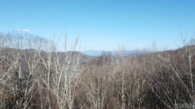 LOT 1-B WALNUT GAP ROAD, CULLOWHEE, NC 28723, photo 3 of 9