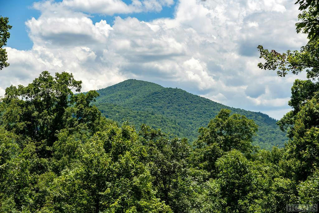 LOT 2 GORGE TRAIL ROAD, CASHIERS, NC 28717, photo 1 of 24