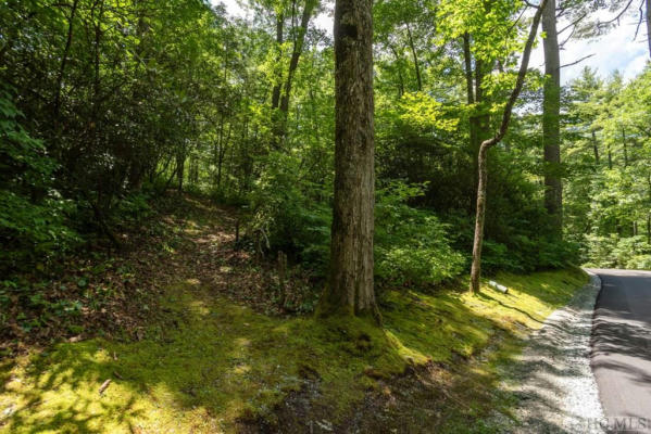 LOT 2 GORGE TRAIL ROAD, CASHIERS, NC 28717, photo 2 of 24