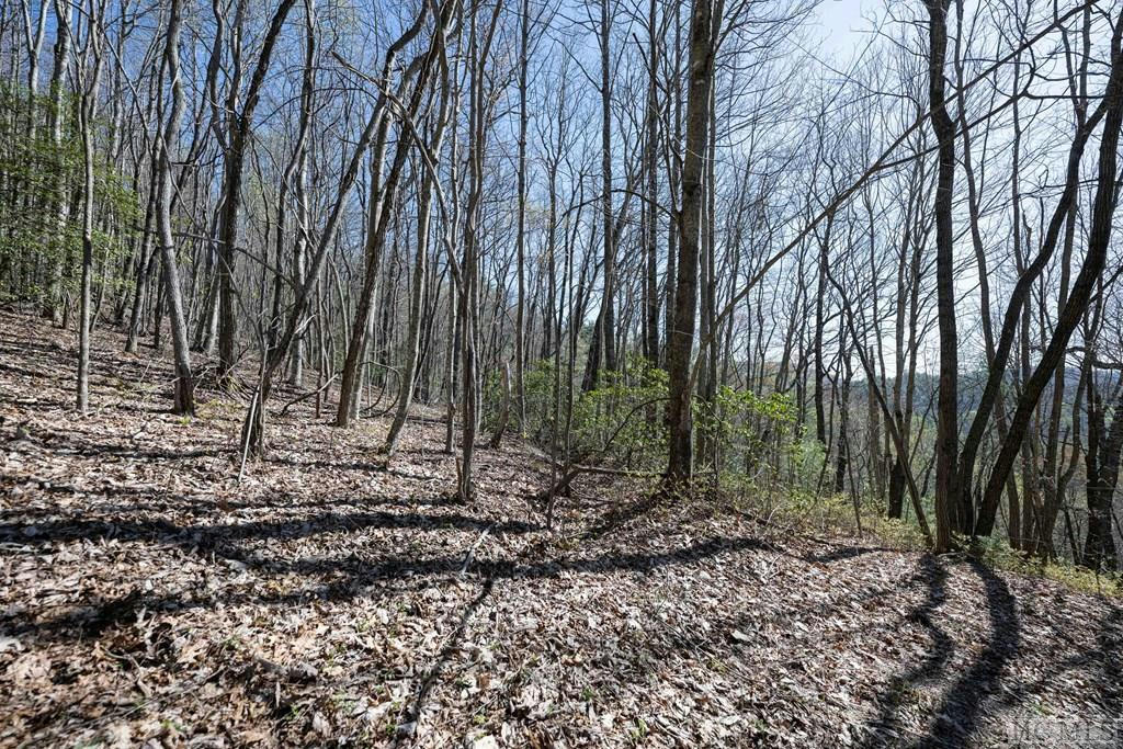 LOT 8 MEADOW CREST DRIVE, CASHIERS, NC 28717, photo 1 of 17