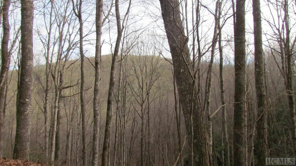 LOT #4 CRISS CROSS LANE, TUCKASEGEE, NC 28783, photo 1 of 4