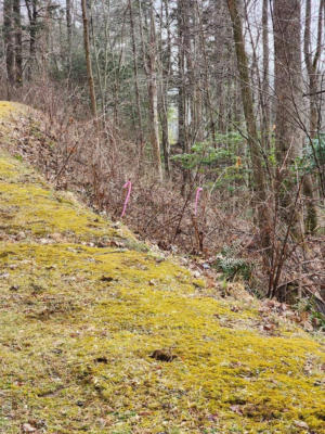 LOT 1HR TURKEY ROOST ROAD, SAPPHIRE, NC 28774, photo 3 of 5