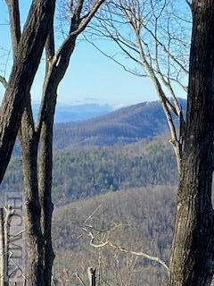 LOT 11A HISTORIC HIGHLANDS DRIVE, HIGHLANDS, NC 28741, photo 3 of 9