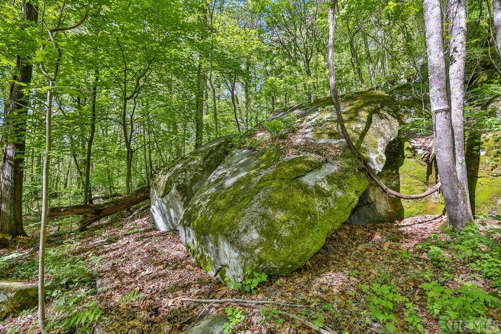 60A ELK HAIR DRIVE, TUCKASEGEE, NC 28783, photo 1 of 36