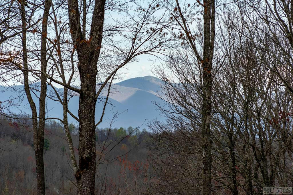 LOT S1 REDROCK TRAIL, GLENVILLE, NC 28736, photo 1 of 22