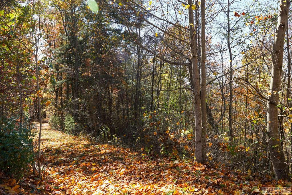 UNKNOWN SILLY RIDGE ROAD, SCALY MOUNTAIN, NC 28775, photo 1 of 4