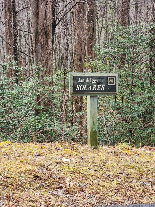 LOT 1HR TURKEY ROOST ROAD, SAPPHIRE, NC 28774, photo 1 of 5