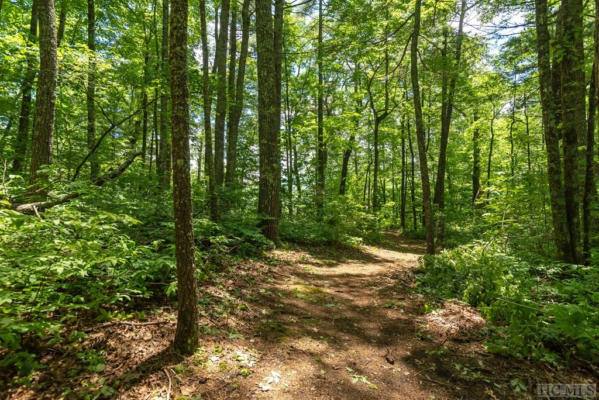 LOT 2 GORGE TRAIL ROAD, CASHIERS, NC 28717, photo 3 of 24