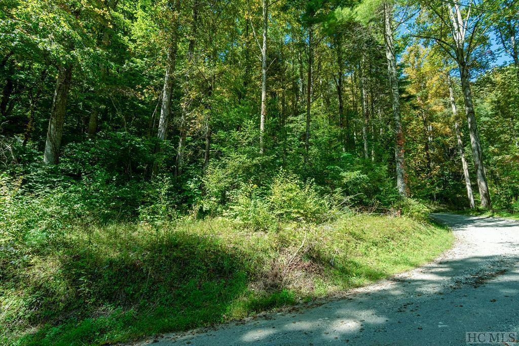 LOT 17 CULLOWHEE FOREST ROAD, CULLOWHEE, NC 28723, photo 1 of 10