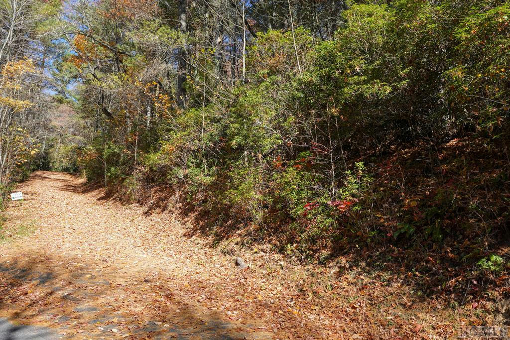 0 LICK LOG RD, SCALY MOUNTAIN, NC 28775, photo 1 of 5