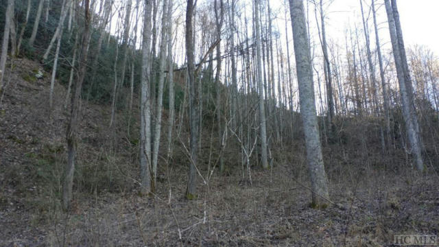 LOT 16 RED HAWK BLUFF, DILLSBORO, NC 28725 - Image 1