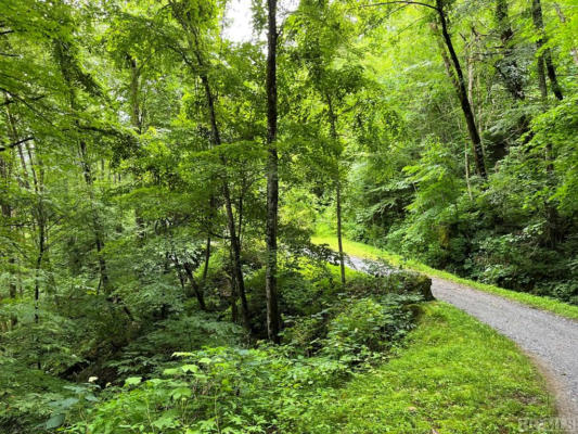 L 53 54 PILOT MOUNTAIN, GLENVILLE, NC 28736, photo 4 of 7