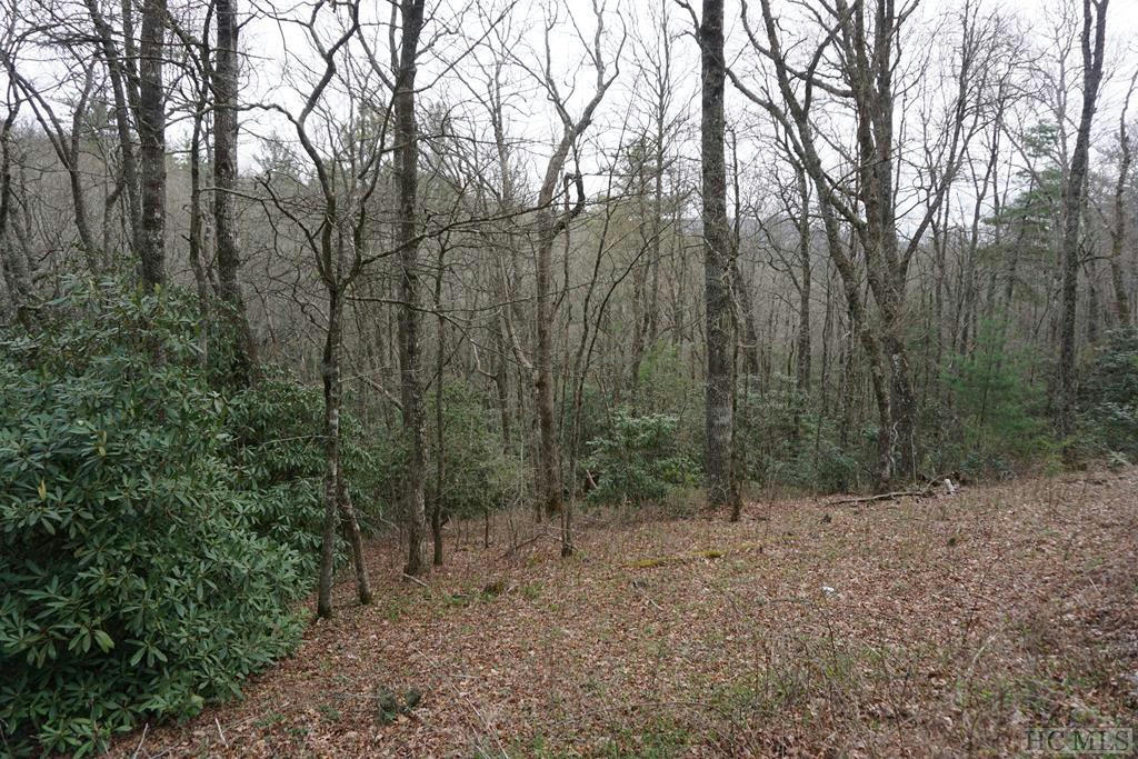 TBD VIEW POINT ROAD, HIGHLANDS, NC 28741, photo 1 of 2