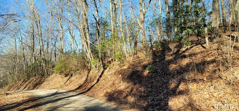 0 EVANS CREEK ROAD, SCALY MOUNTAIN, NC 28755, photo 1 of 8