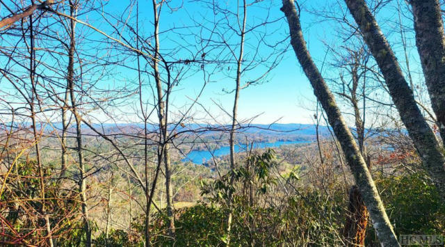 LOT 100 MILLS CREEK POINT, LAKE TOXAWAY, NC 28474, photo 2 of 18