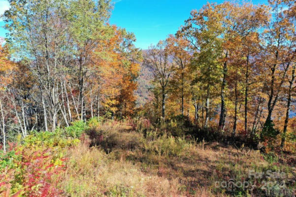 0 NANNYBERRY LANE, TUCKASEGEE, NC 28783, photo 2 of 15