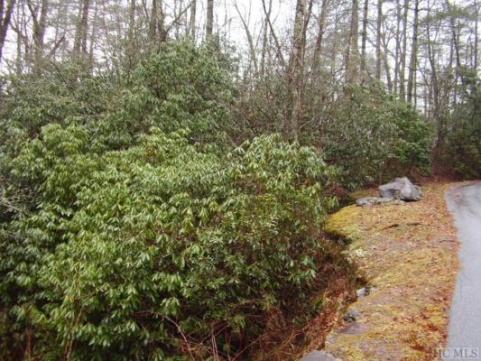 LOT 1B STREAMSIDE DRIVE, CASHIERS, NC 28717, photo 2 of 4