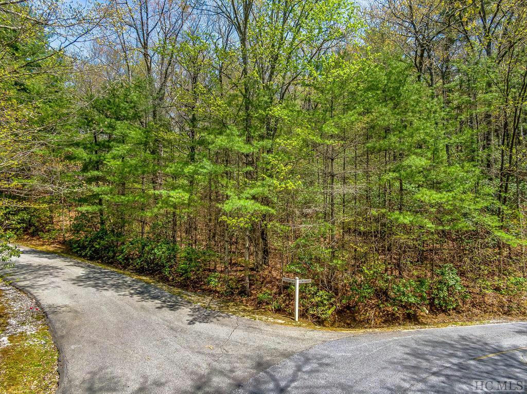 LOT 16 MOUNTAIN VIEW ROAD, LAKE TOXAWAY, NC 28747, photo 1 of 20