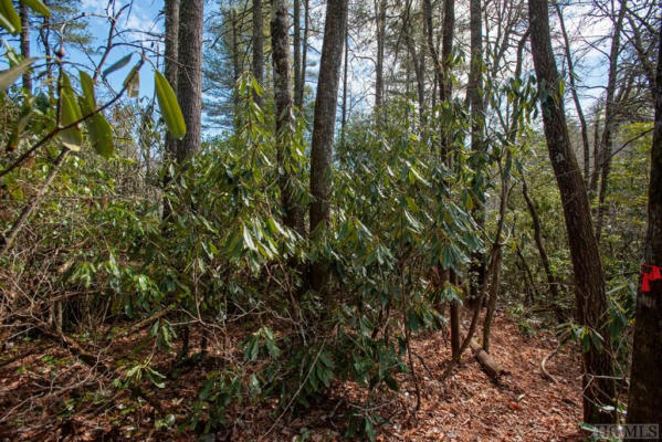 LOT 108R ROCKHOUSE FALLS LANE, SAPPHIRE, NC 28774, photo 2 of 21