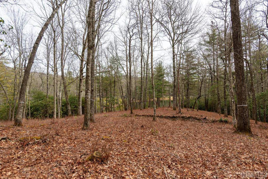 LOT W9 FISH CAMP TRAIL, GLENVILLE, NC 28736, photo 1 of 28