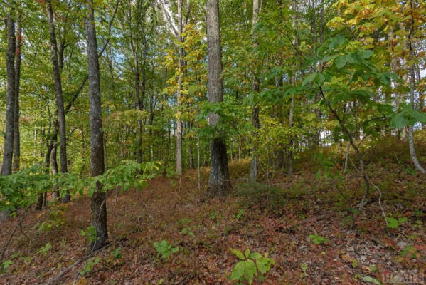 LOT C53 ROAMING ROAD, GLENVILLE, NC 28736, photo 2 of 23