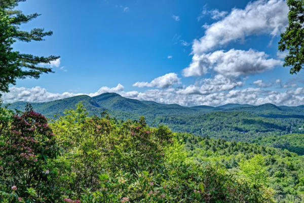125 RAMBOUILLET RD, CASHIERS, NC 28717 - Image 1