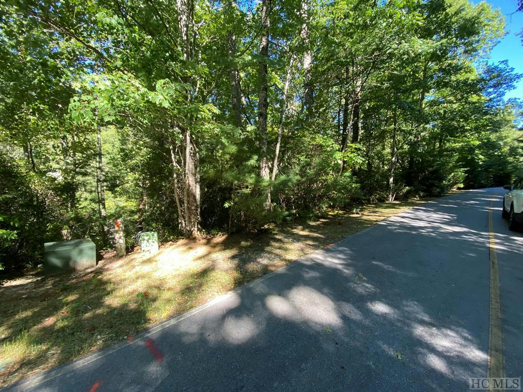 136 BUCKBERRY DR, Sapphire, NC 28774 Land For Sale | MLS# 103401 | RE/MAX