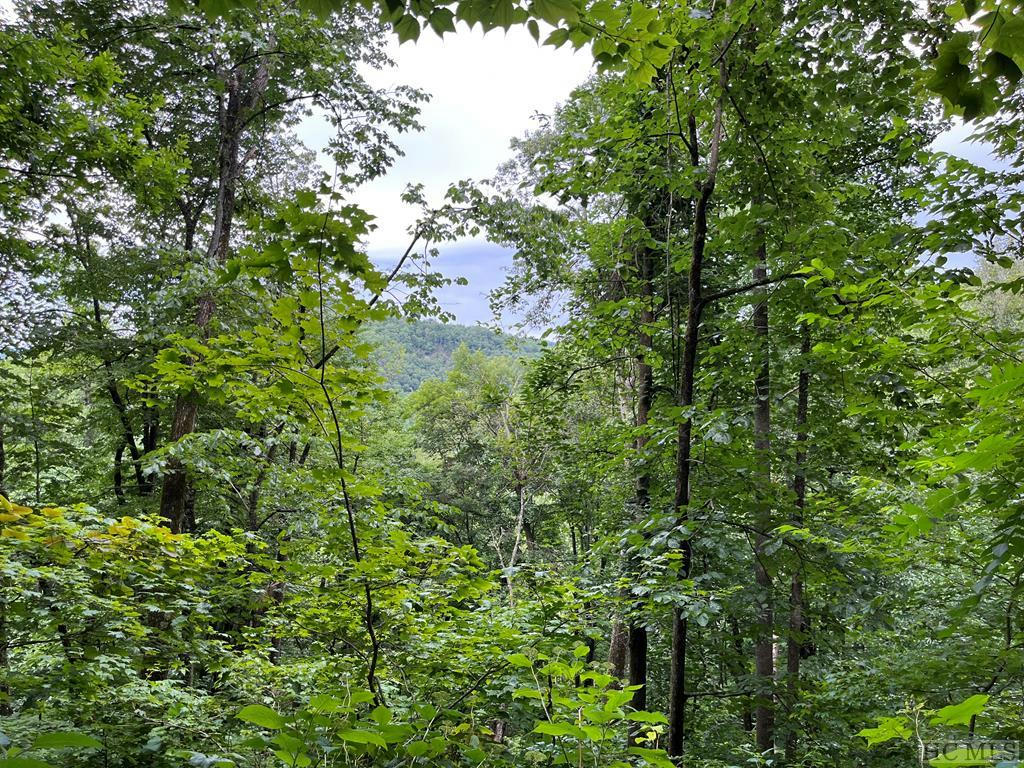 L 53 54 PILOT MOUNTAIN, GLENVILLE, NC 28736, photo 1 of 7