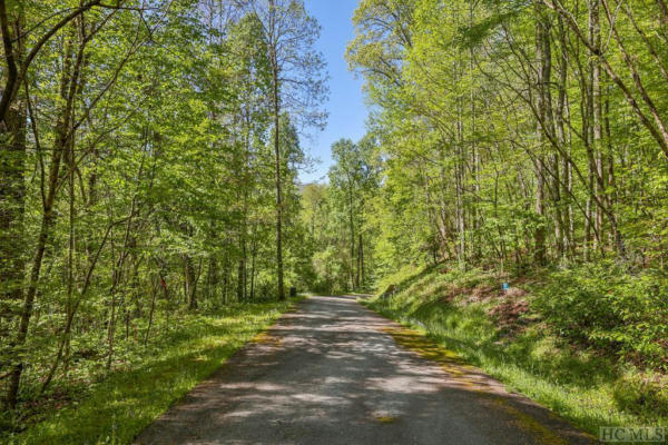 60A ELK HAIR DRIVE, TUCKASEGEE, NC 28783, photo 2 of 36